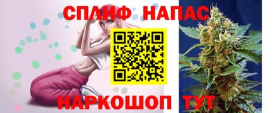 стафф Будённовск