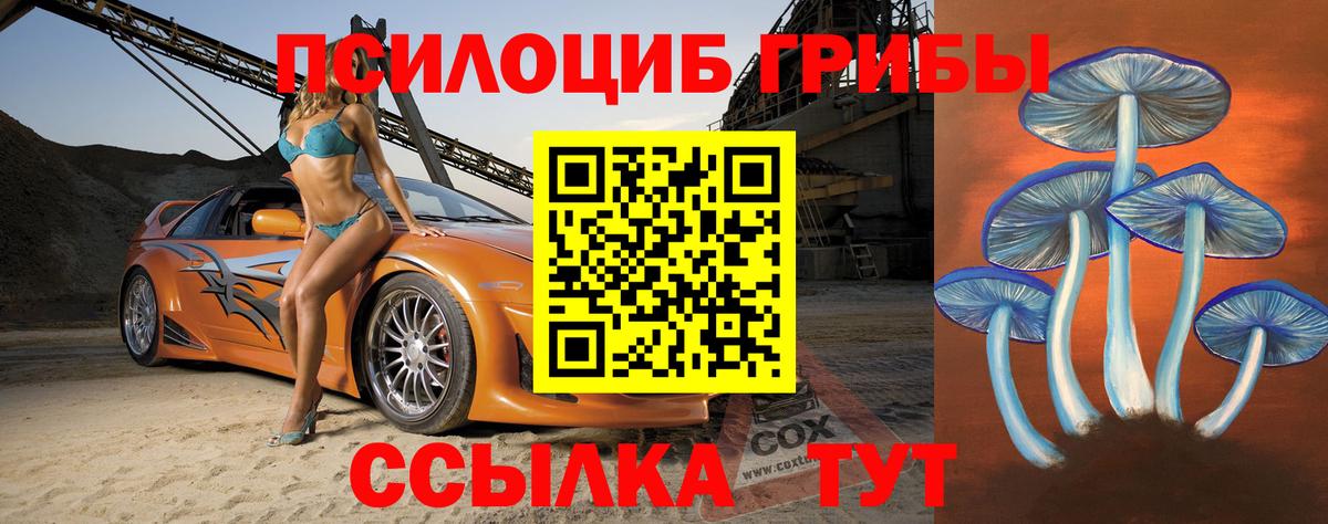 Псилоцибиновые грибы мухоморы  Вход с VPN  Тосно  Псилоцибиновые грибы Cubensis 