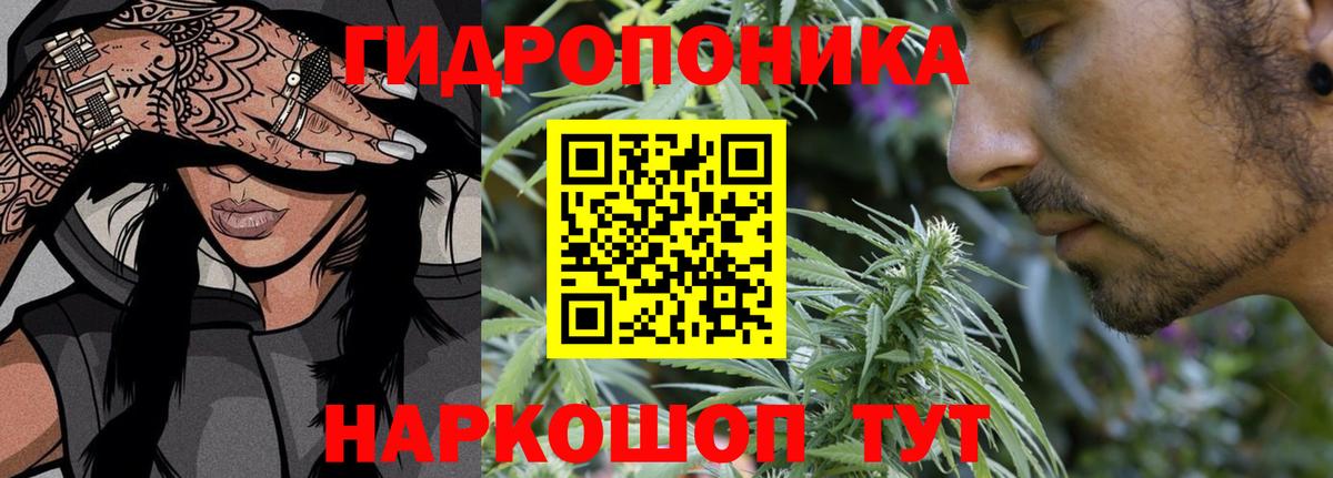 Каннабис Ganja Тосно